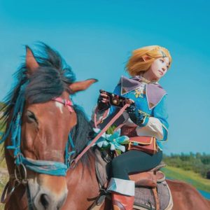 Princess cosplay,Tears of the Kingdom,Princess cosplay,Halloween costume,fantasy cosplay dress,cosplay costume